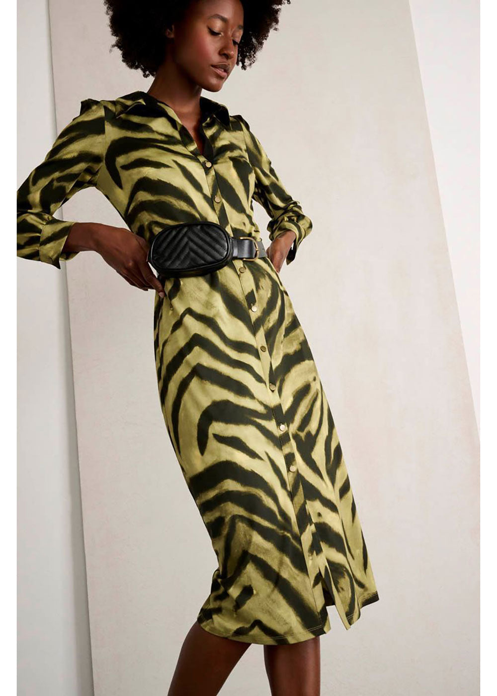 Zebra Print Midi Dress